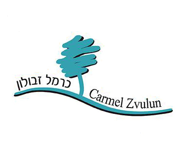 לוגו בית הספר כרמל זבולון 